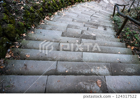 a staircase with stone steps covered with moss goes down 124317522