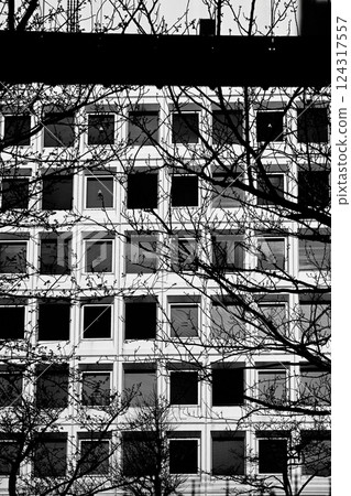 monochrome cityscape 124317557