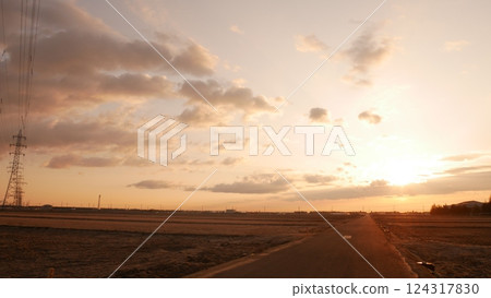 Sunrise on the rice field road Sunrise on the rice field road 124317830