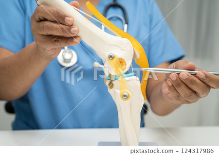 Asian doctor holding spinal nerve and bone model, Lumbar spine displaced herniated disc fragment for treatment medical in the orthopedic department. 124317986