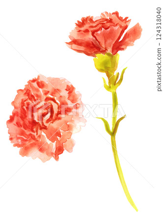 康乃馨水彩畫素材 124318040