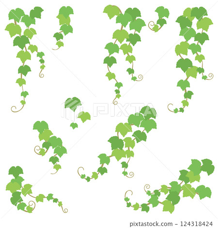 常春藤葉向量插圖集 124318424