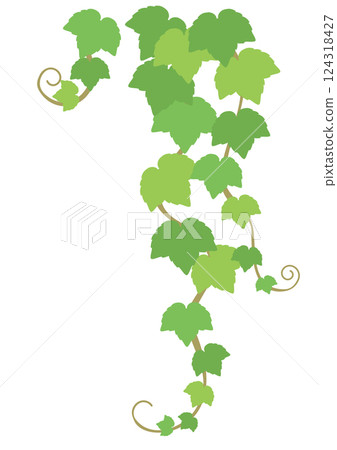 Vector illustration of ivy leaves to decorate the top right corner Vector illustration of ivy leaves to decorate the top right corner 124318427