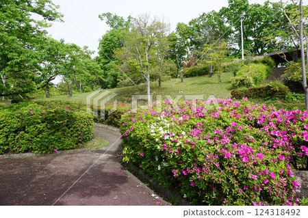 街頭盛開的杜鵑花 街頭盛開的杜鵑花 124318492