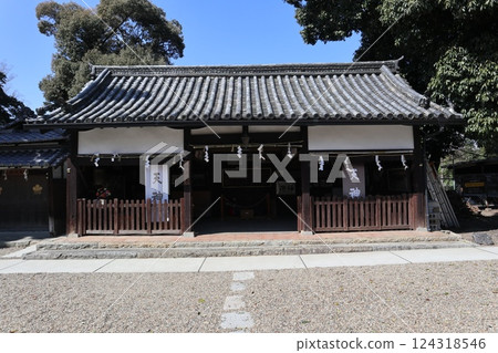 大阪高槻城天滿宮的春天，梅花的香味撲鼻而來 124318546