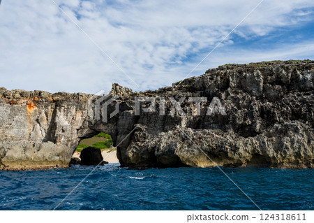 Ogiike Pond, Minamijima, Ogasawara, Tokyo 124318611