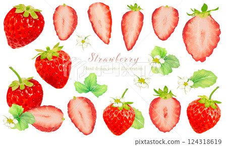 水彩畫草莓插畫素材 水彩畫草莓插畫素材 124318619