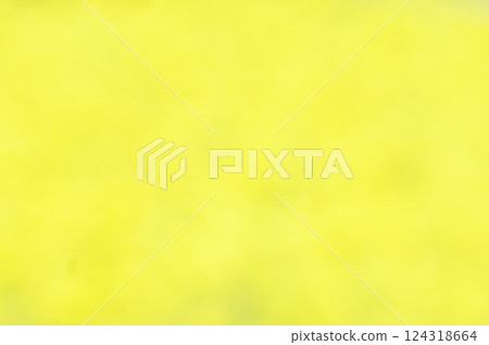 Yellow background material made of rape blossoms 124318664