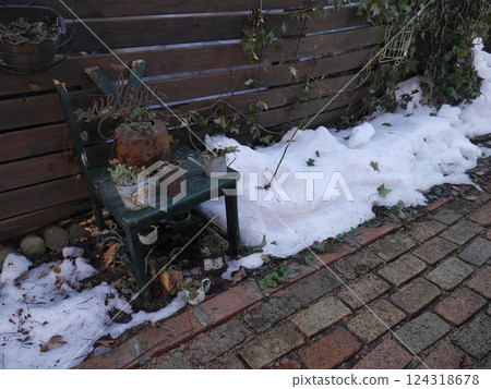 雪開始融化的春天花園 124318678