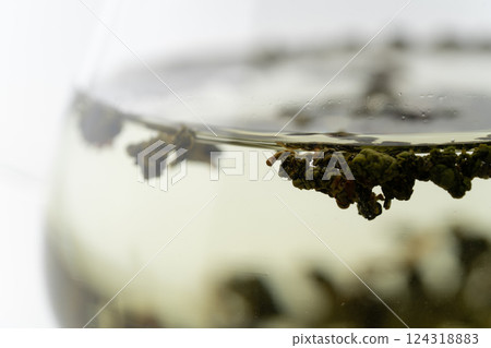 Close-up of Dongding Oolong tea leaves being brewed Close-up of Dongding Oolong tea leaves being brewed 124318883