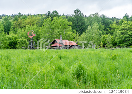 little house in the green 124319084