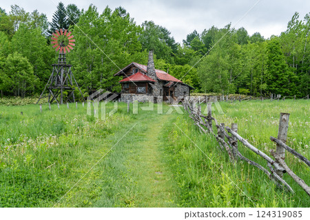The path to a house surrounded by greenery 124319085