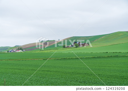 Green Hill House Green Hill House 124319208