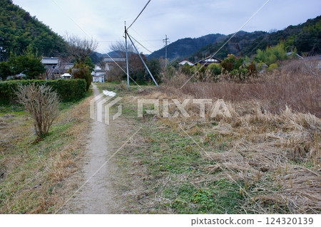 冬季鄉村景觀 冬季鄉村景觀 124320139