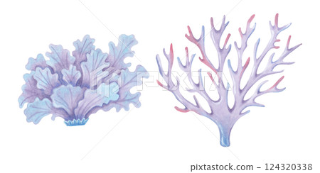 Branched and salad coral. Watercolor and marker illustrations. Ocean coral reefs, underwater animals of the seabed. Hand drawn isolated art. Underwater ecosystem of exotic nature for travel guides 124320338
