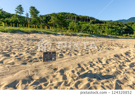 屋久島近海阿爾卑斯山的壯麗景色（7月） 海龜產卵地 永田海灘 稻中濱 124320852