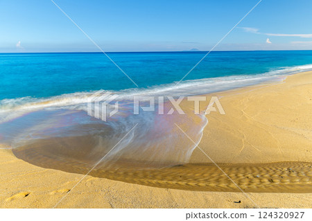 Summer at Nagata Inakahama, Yakushima's largest sea turtle nesting site 124320927