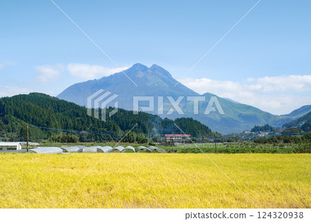 Rice and Yufu 124320938