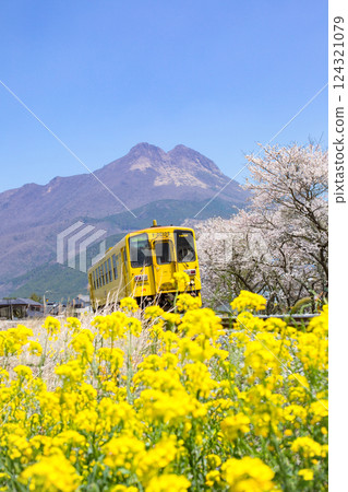 Yufuin rape flower and train Yufuin rape flower and train 124321079