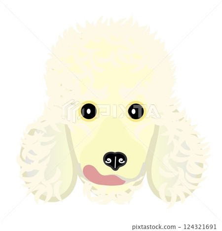 奶油色的貴賓狗臉圖 124321691