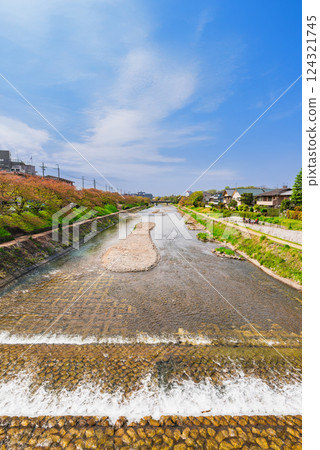 京都之春:鴨川三角洲附近的高野川 京都之春:鴨川三角洲附近的高野川 124321745