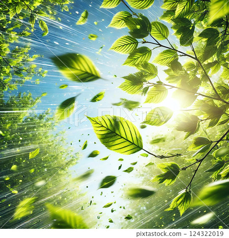 新綠在風中飛舞,瞬間感受到初夏的氣息 新綠在風中飛舞,瞬間感受到初夏的氣息 124322019