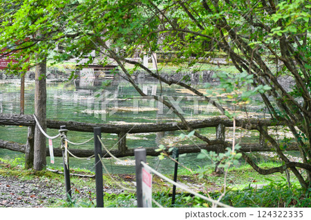 Fish and Forest Observation Garden (Nikko City, Tochigi Prefecture) Fish and Forest Observation Garden (Nikko City, Tochigi Prefecture) 124322335