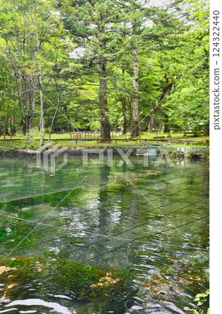 魚類與森林觀察園(栃木縣日光市) 魚類與森林觀察園(栃木縣日光市) 124322440