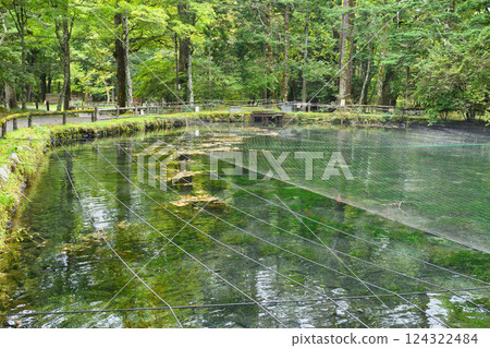 Fish and Forest Observation Garden (Nikko City, Tochigi Prefecture) 124322484