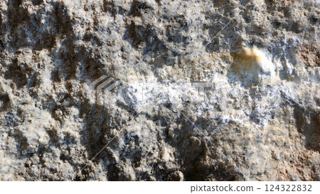 Natural wall made of rough stone. 124322832