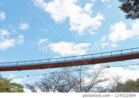 在藍天的吊橋 124322864