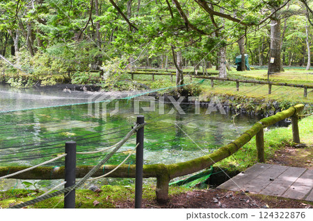 Fish and Forest Observation Garden (Nikko City, Tochigi Prefecture) Fish and Forest Observation Garden (Nikko City, Tochigi Prefecture) 124322876