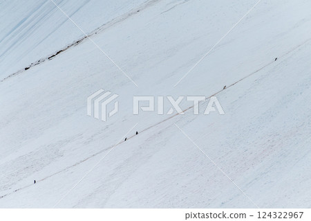 Gentoo Penguins in Antarctica Gentoo Penguins in Antarctica 124322967