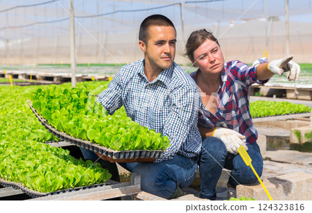 Man farmer holding trays for seedling in glasshouse. Skilled woman pointing and telling something to male 124323816