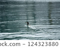 一隻黑鳥在平靜的海面上游泳 124323880