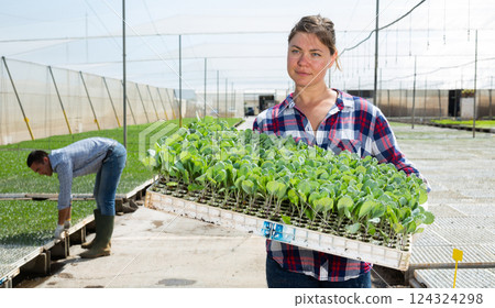 Beautiful young female farm worker carrying box with vegetable seedling at greenhouse Beautiful young female farm worker carrying box with vegetable seedling at greenhouse 124324298