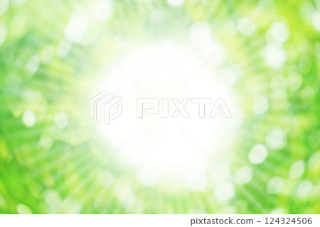 Fresh green and sunbeams Fresh green and sunbeams 124324506