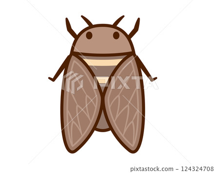 Insect_Cicada_Main line normal 124324708
