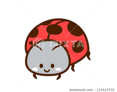 Insect_Ladybug_Main line normal 124324710