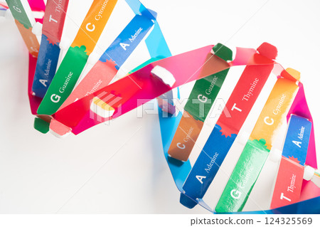 DNA or Deoxyribonucleic acid is a double helix chains structure formed by base pairs attached to a sugar phosphate backbone. DNA or Deoxyribonucleic acid is a double helix chains structure formed by base pairs attached to a sugar phosphate backbone. 124325569