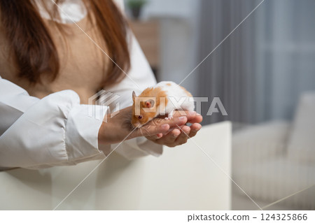 Adorable pet hamster exploring new surroundings while being gently held by a caregiver in a cozy and warm indoor setting focused on companionship and love Adorable pet hamster exploring new surroundings while being gently held by a caregiver in a cozy and warm indoor setting focused on companionship and love 124325866