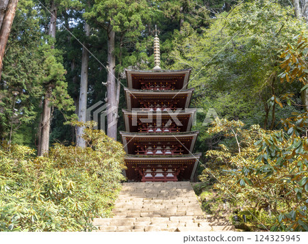 Murouji Five-storied Pagoda looking up from the bottom of the stairs 124325945