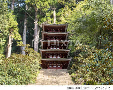 Murouji Five-storied Pagoda looking up from the bottom of the stairs 124325946