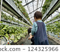 Strawberry picking at Rock Bay Garden Strawberry Farm in Kusatsu, Shiga Prefecture 124325966