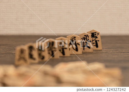 All types of shogi pieces are lined up to visualize the relationship of power. 124327242