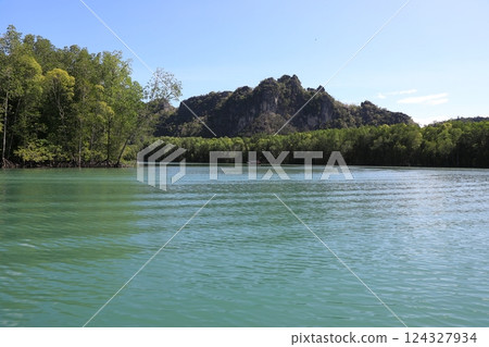 蘭卡威紅樹林遊船風景 124327934