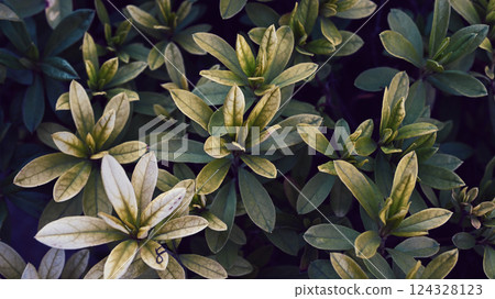 圍欄 圍欄 124328123