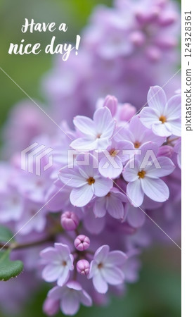 Lilac flowers in close-up with inscription Have a nice day 124328361