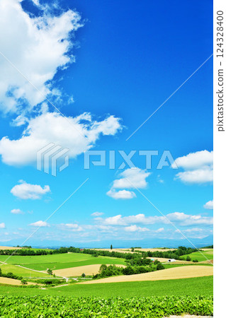Hokkaido summer blue sky and Biei landscape 124328400