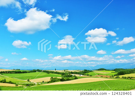 北海道夏天藍天和Biei風景 124328401